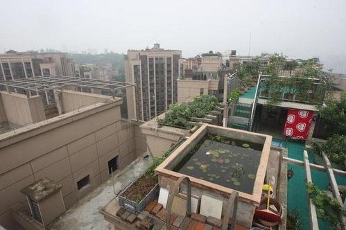 国产乱一区,揭秘国内影视产业的独特魅力与挑战  第2张